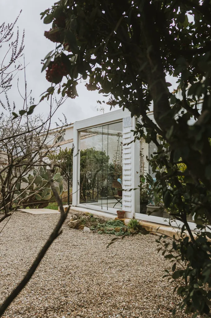 Pergola à Nîmes : Guide des plantes grimpantes avec HCT