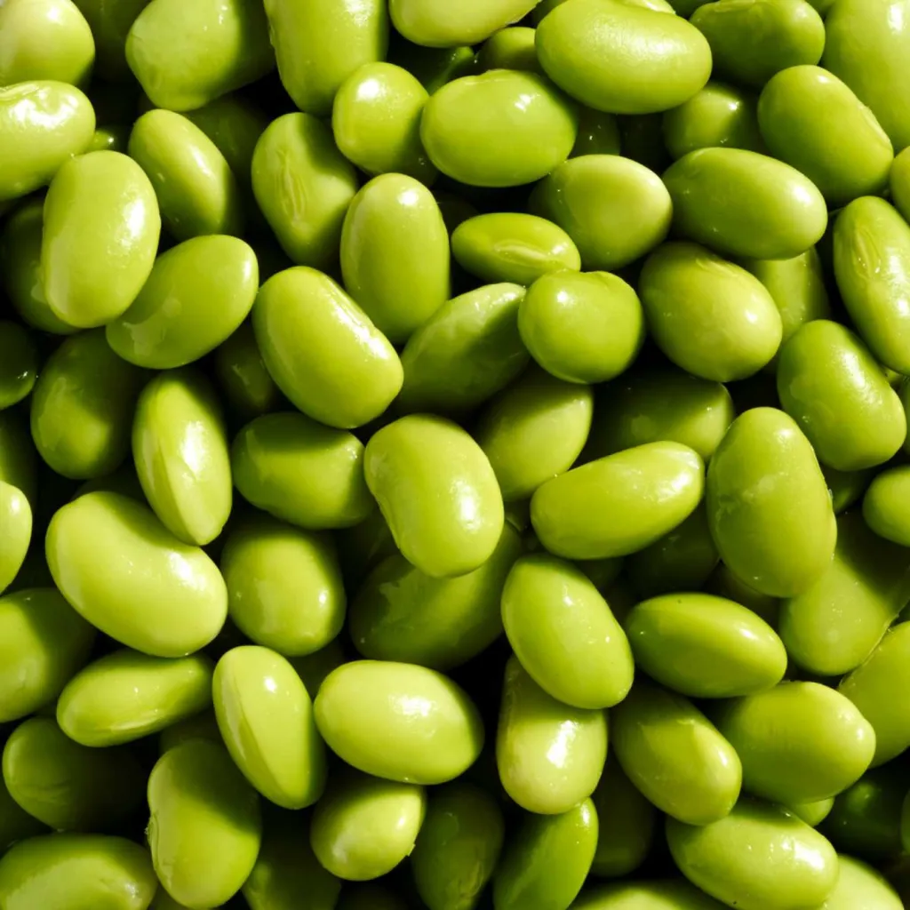 photographe pour l'industrie agroalimentaire close-up macro ingrédient fèves de soja