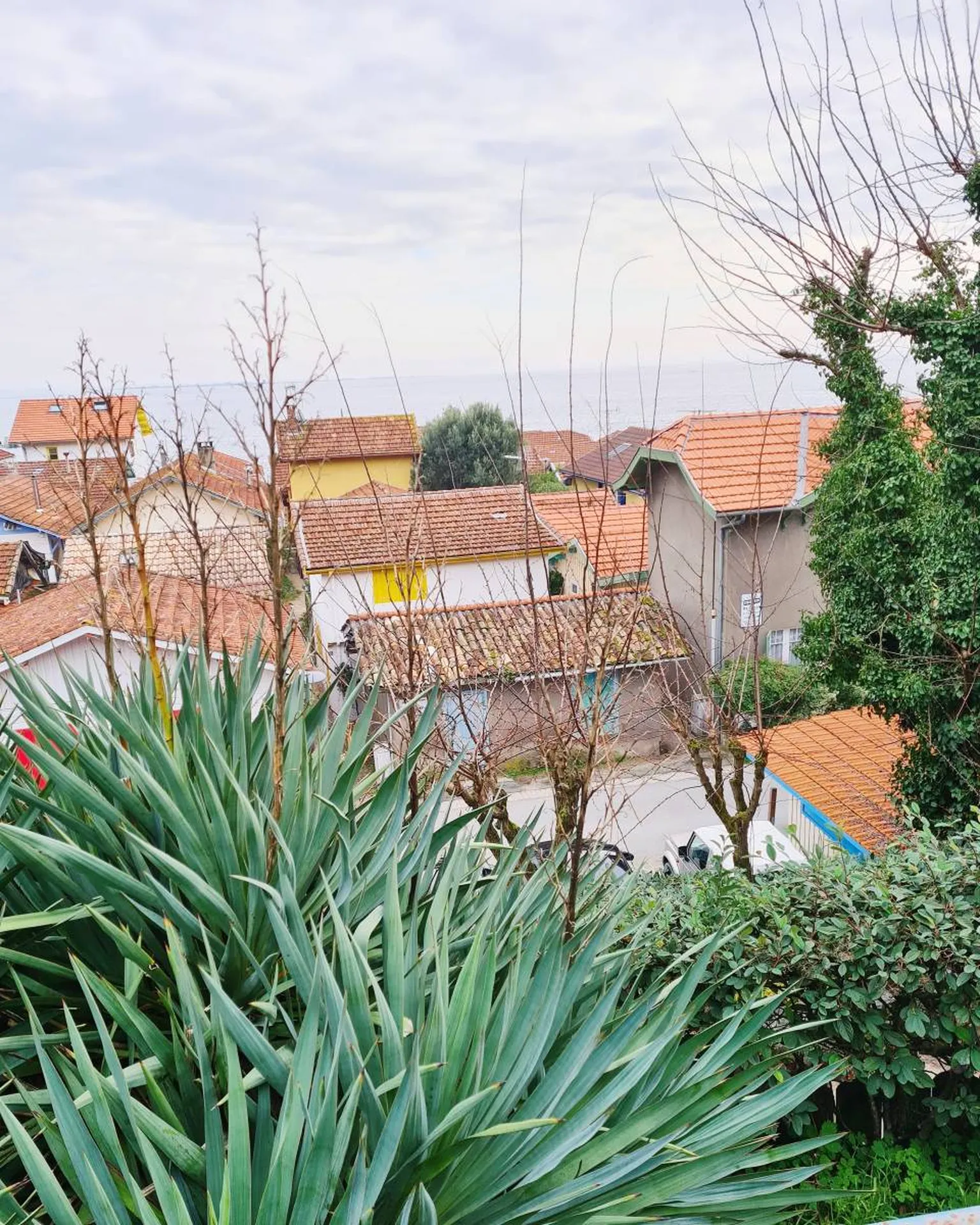 Dégustation d'huîtres au village de l'Herbe 