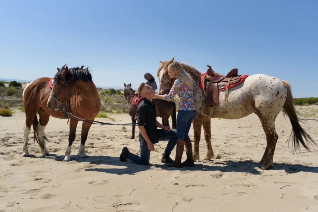 cheval el rancho randonnée 