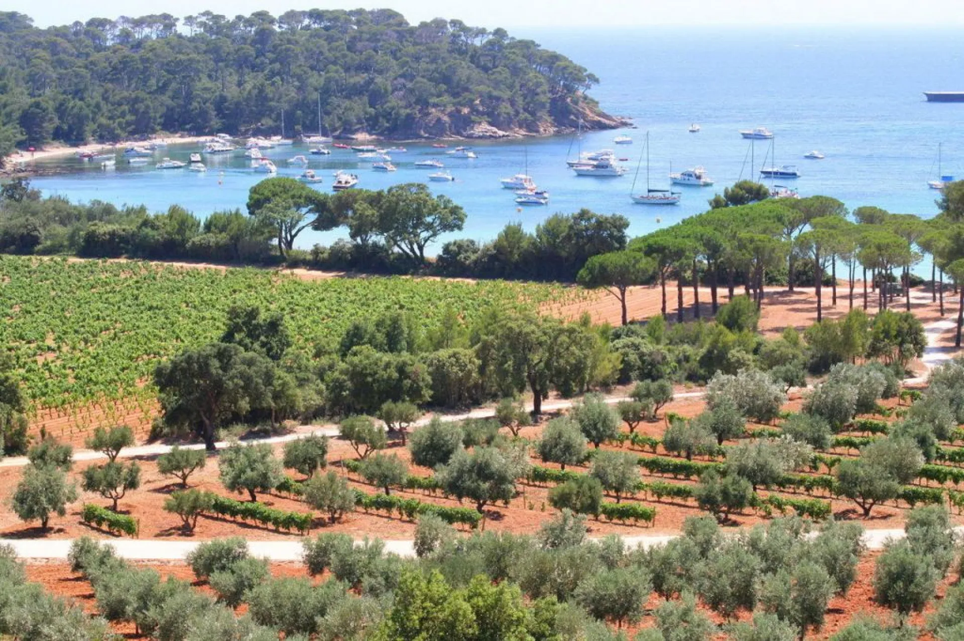 Taxi Gare Aix TGV vers Bormes les Mimosas