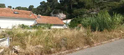 Fauchage d'un champ à Cassis. 