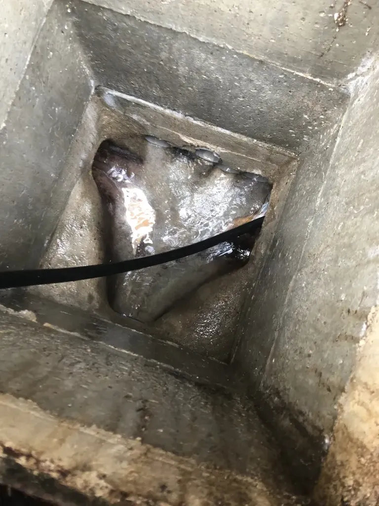 Débouchage de canalisation eaux usées et nettoyage de regard extérieur chez un particulier à Saint-Bonnet-de-Mure dans le Rhône