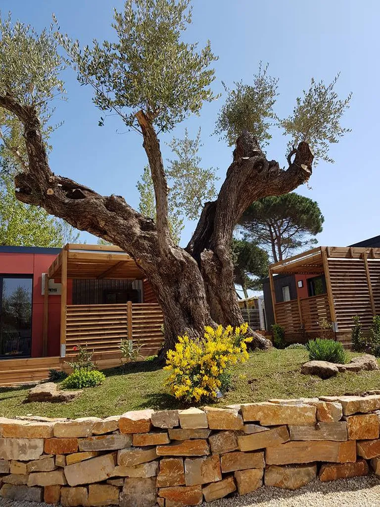 location de mobil home 3 chambres climatisé bord de mer