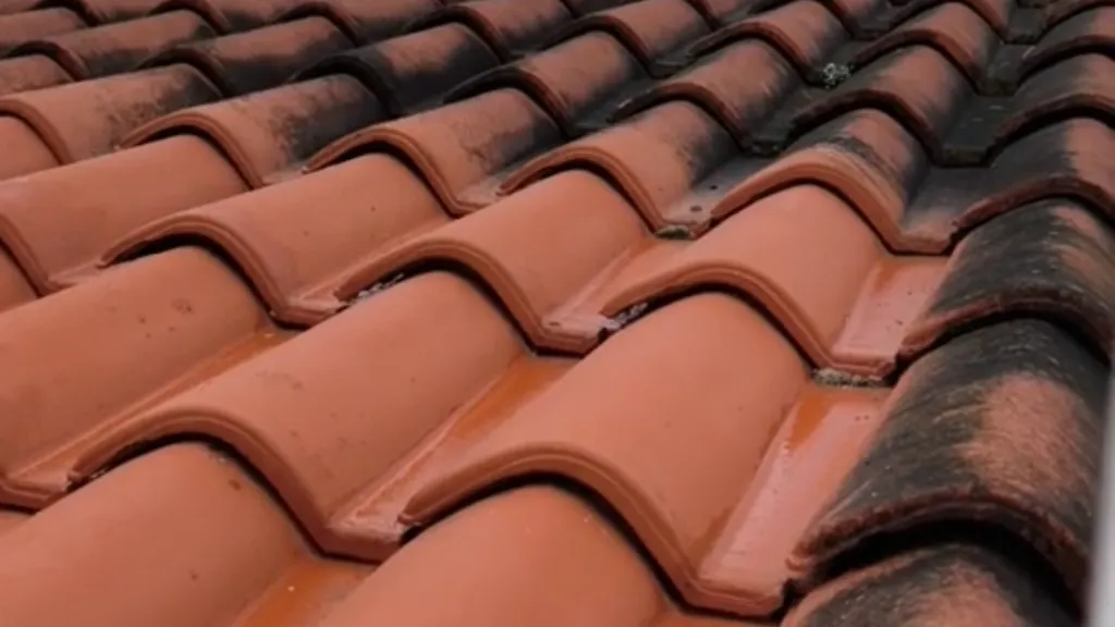 Entreprise locale pour nettoyage, démoussage et entretien de toiture à Sète 34301 sur la côte méditerranéenne