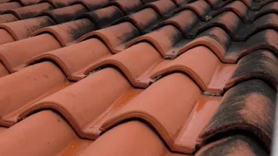 Entreprise locale pour nettoyage, démoussage et entretien de toiture à Sète 34301 sur la côte méditerranéenne