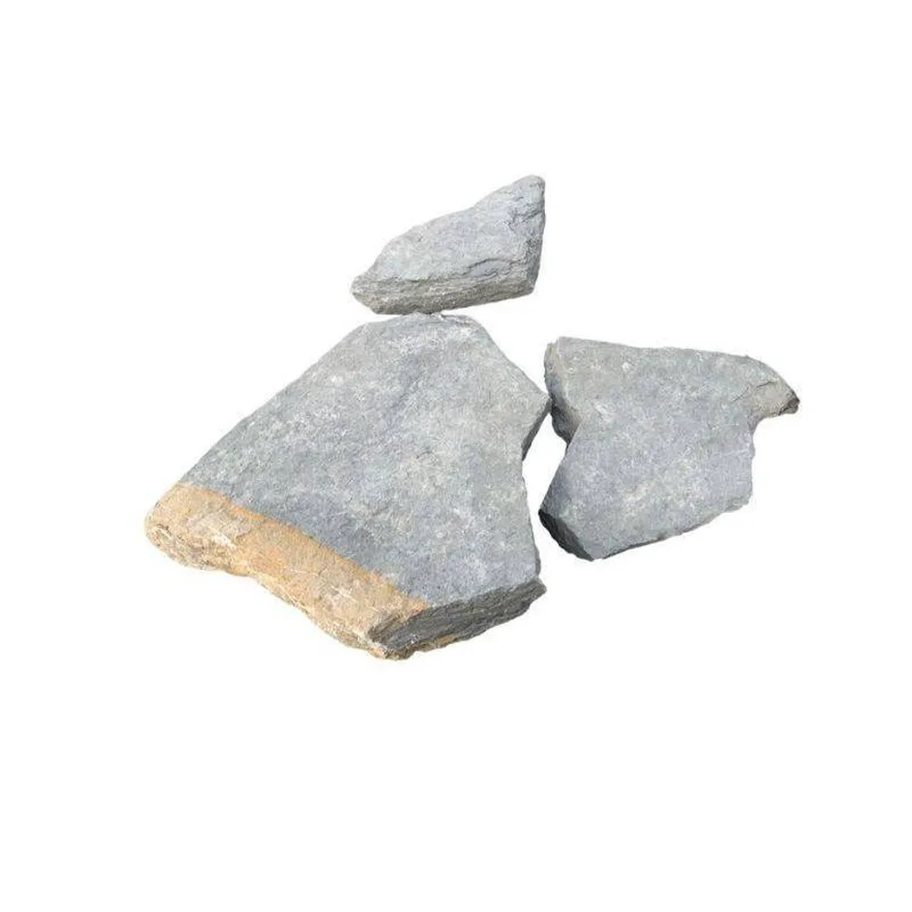 OPUS INCERTUM DE PIERRE DE POMPIGNAN BAYADERE