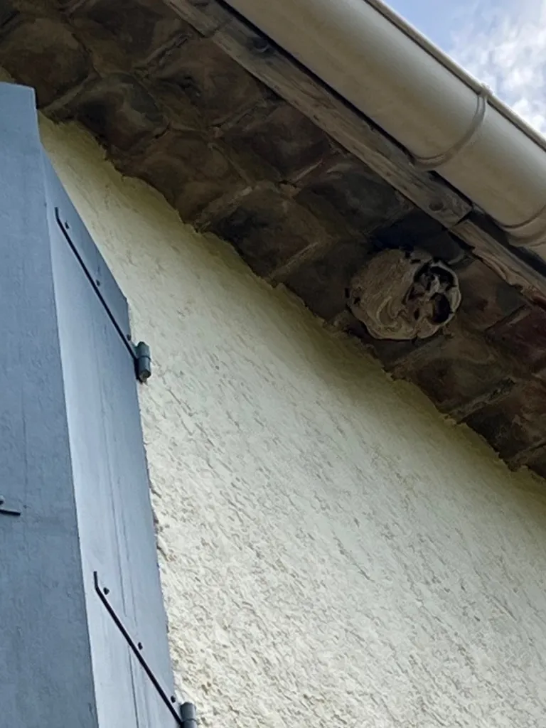 Traitement d’un nid de frelons asiatiques sous les tuiles de cette villa à Marseille 13013 dans les Bouches-du-Rhône.