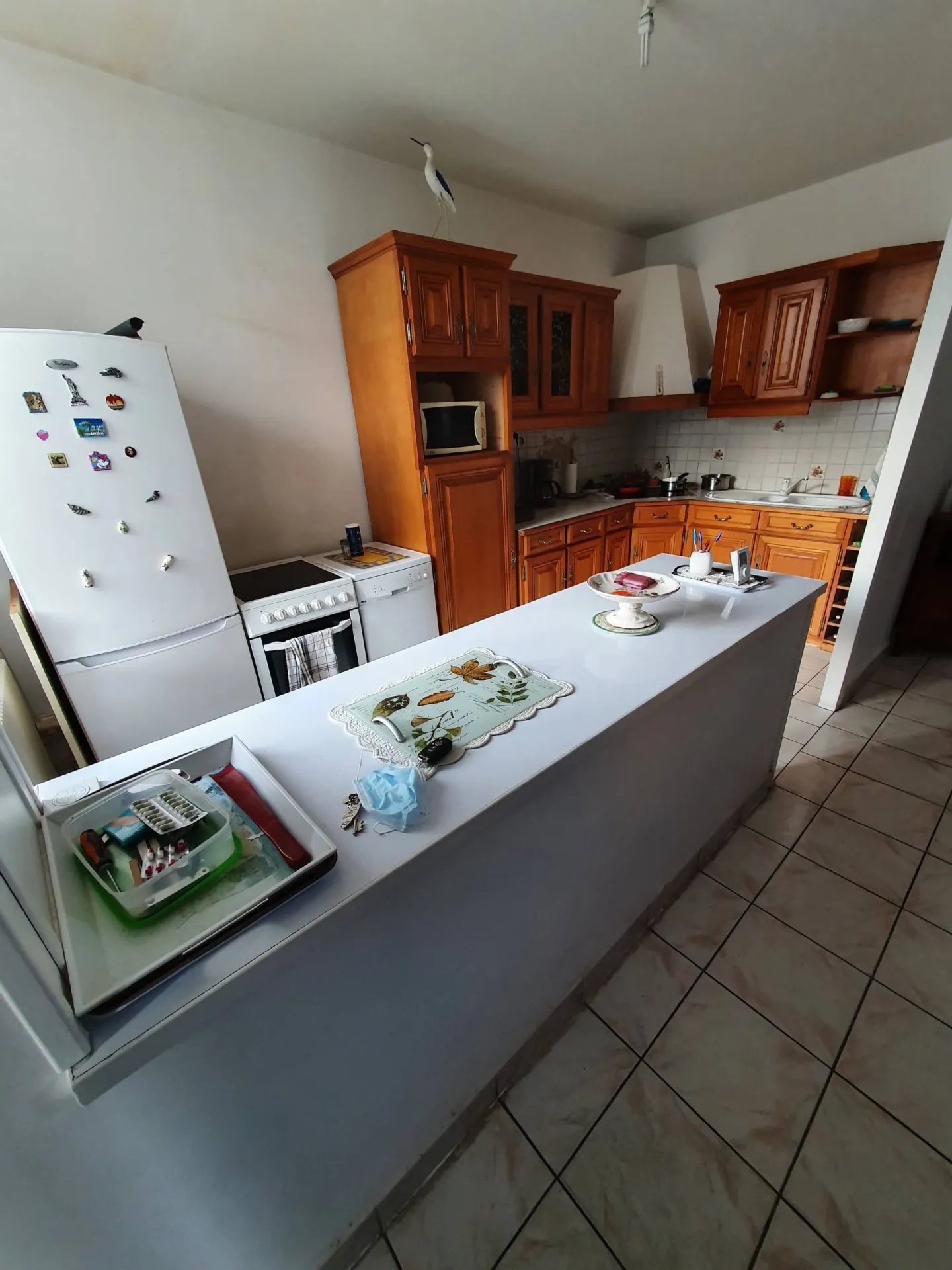 Louer une maison avec jardin pour une famille proche de Lyon