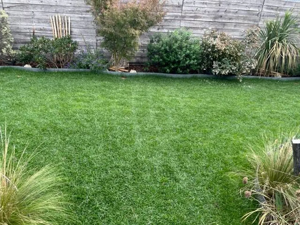 Réalisation d’un gazon en rouleaux dans le jardin d'une maison des Landes