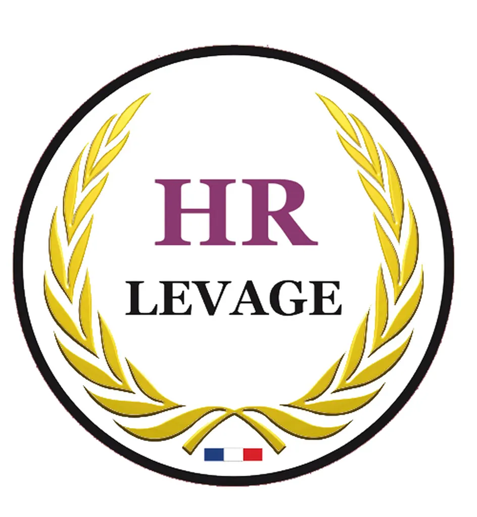 HR Levage