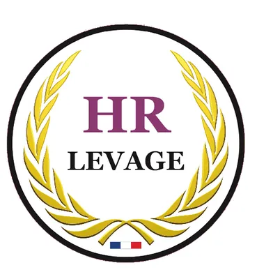 HR Levage