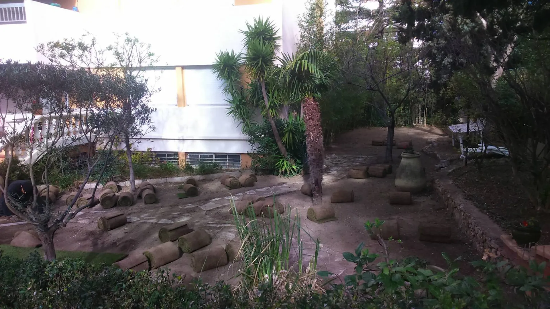 Pose et entretien de pelouse à Marseille et dans les Bouches du Rhône