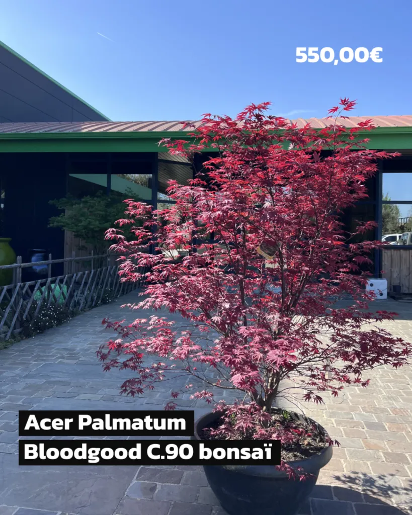 DECOUVREZ NOTRE PARC VEGETAL