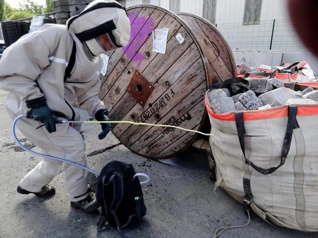 Traitement d’un nid de frelons asiatiques sur un chantier à Marseille 13006