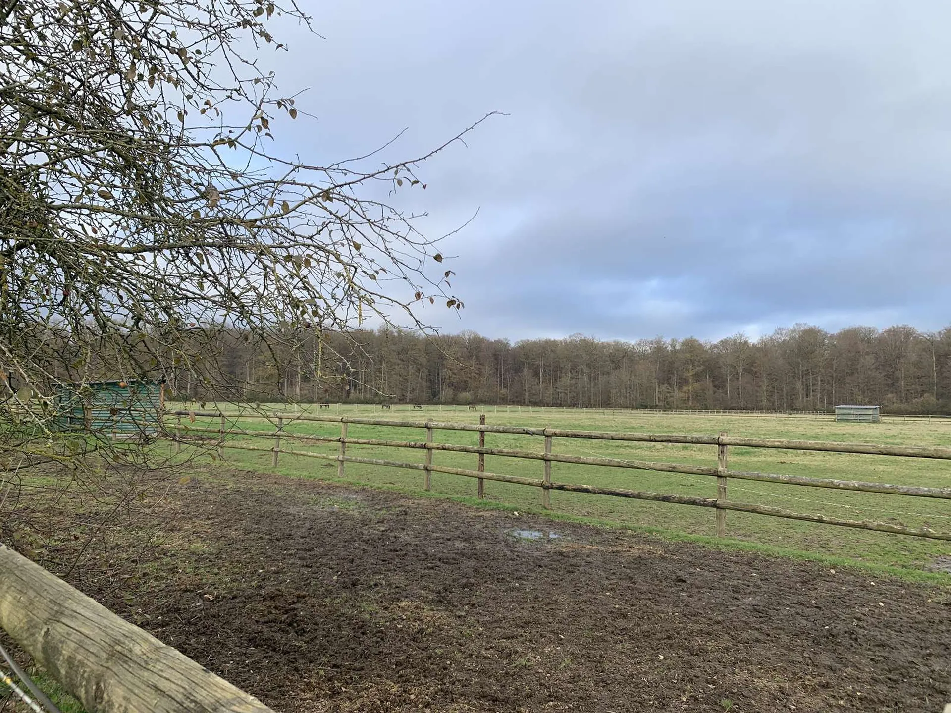 A VENDRE - En NORMANDIE, département de l'EURE, à proximité de BEAUMESNIL, une propriété équestre avec 12 ha 40 a