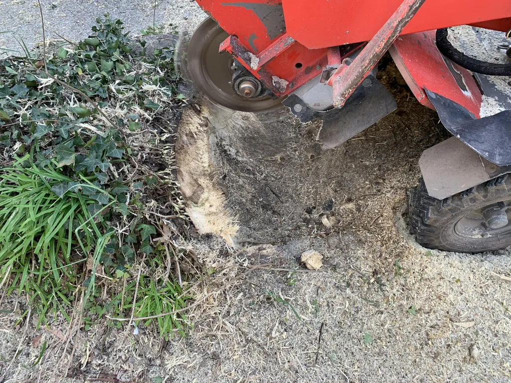 Rognage de souche et reprise d’enrobé – Intervention Jardivar