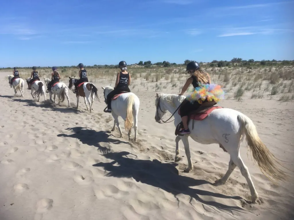balade a cheval en Camargue 