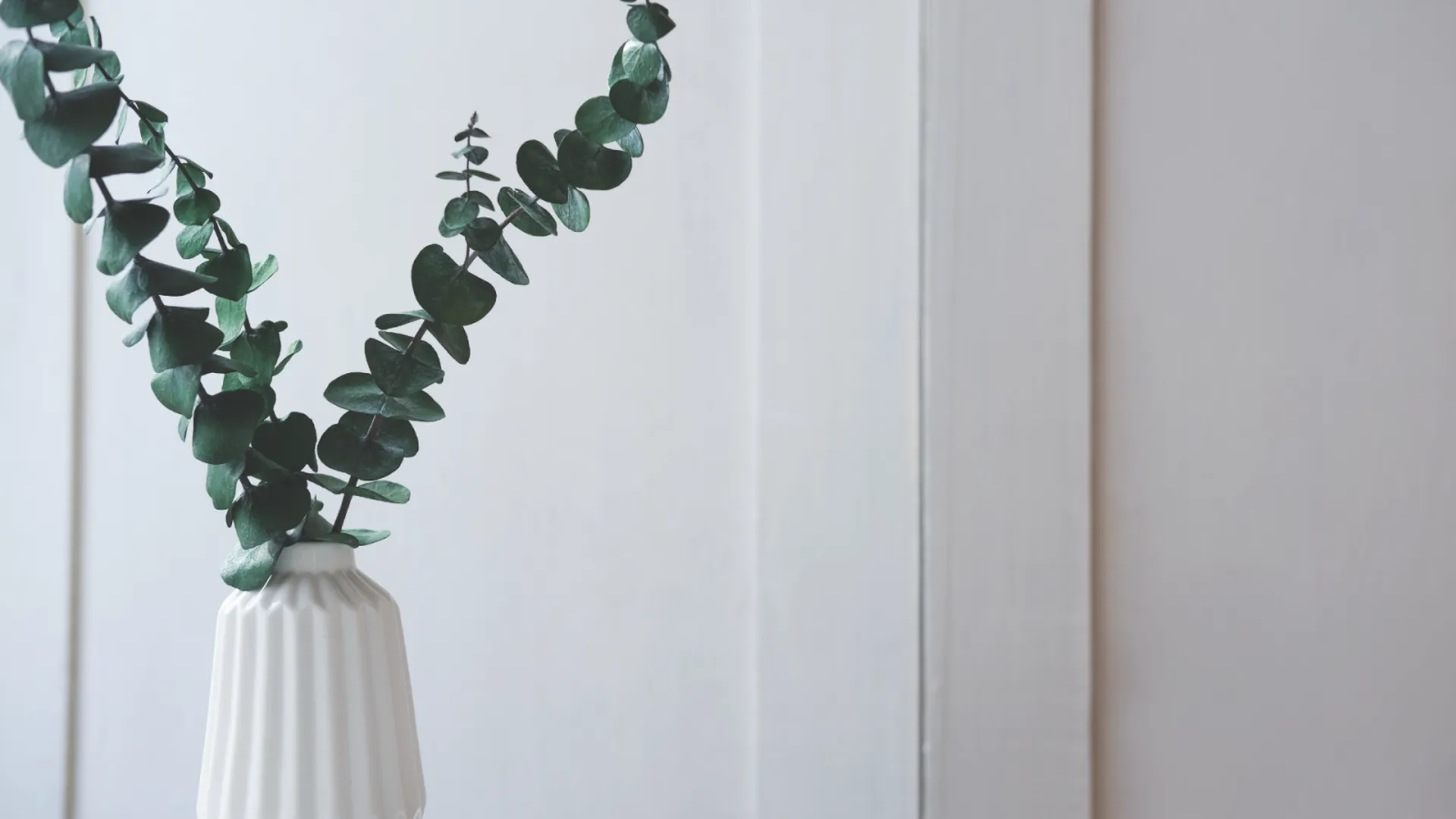 Comment investir pour payer moins d’impôts ? Le Havre 76