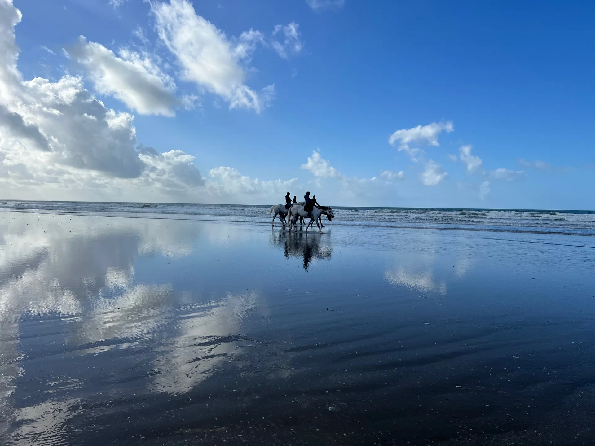 Vous rêvez d'intégrer une équipe d'agents immobiliers en Normandie ? Contactez-nous