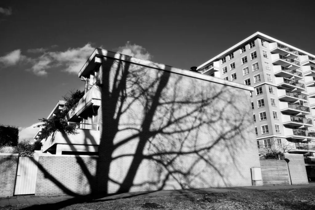 Artisan élagueur pour l'entretien d'arbres dans une copropriété à Caluire-et-Cuire