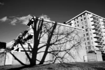 Artisan élagueur pour l'entretien d'arbres dans une copropriété à Caluire-et-Cuire