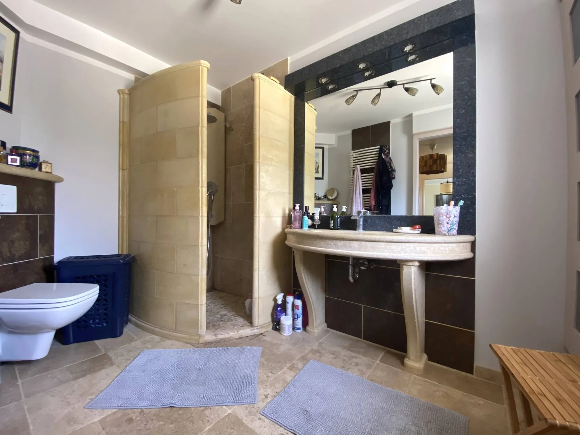 Achat maison grande moderne