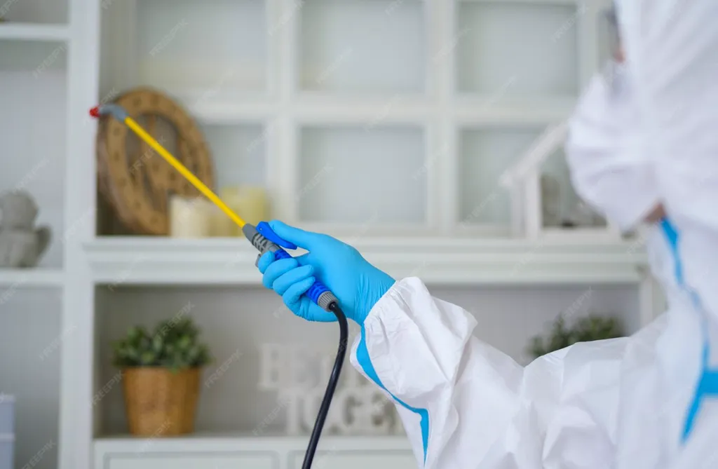 Éliminer définitivement blattes et cafards : traitement professionnel de longue durée en Haute-Garonne