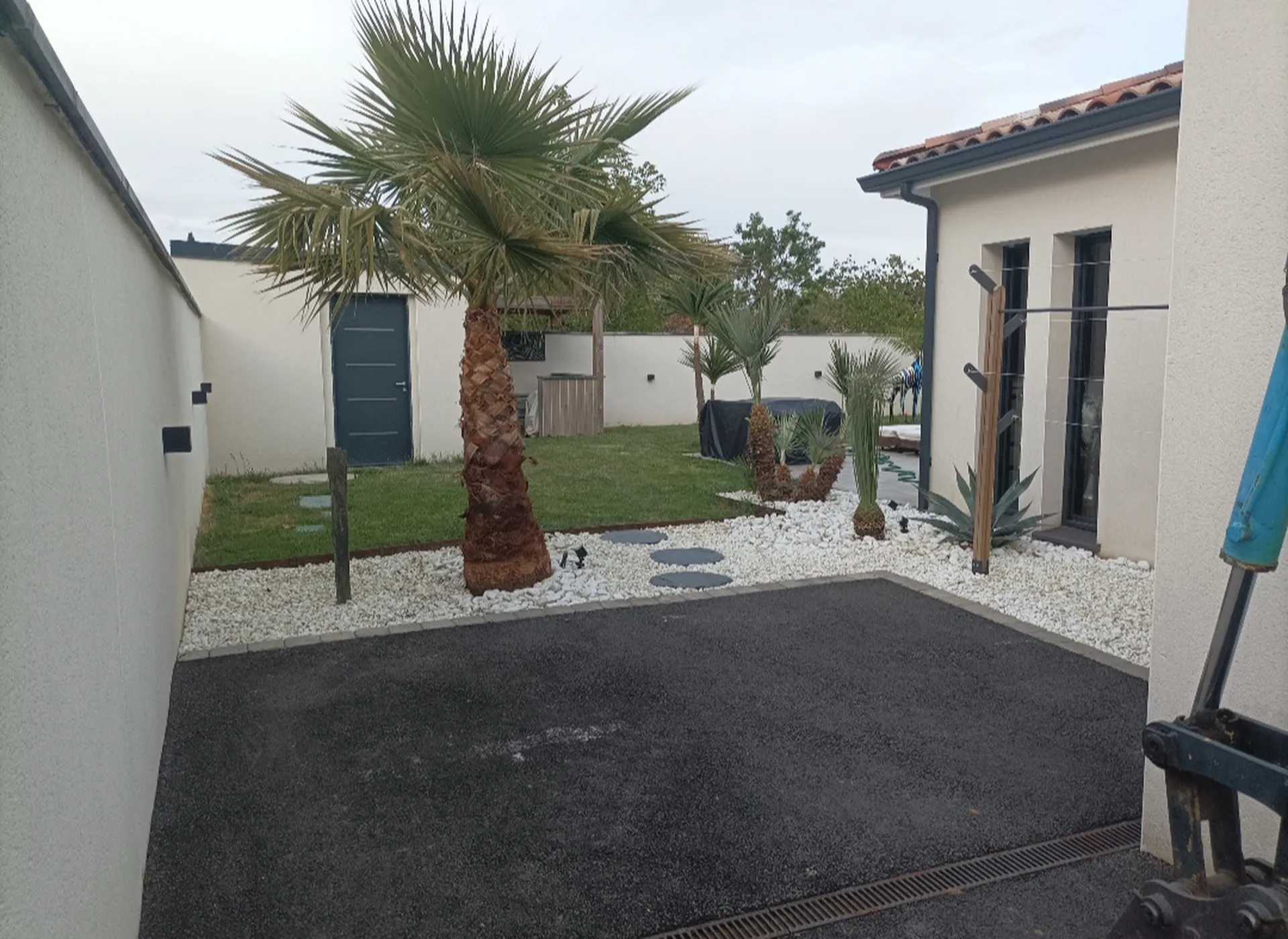 Entretien d'un jardin exotique sur Cugnaux, nettoyage de palmiers, yucca, dracaena...