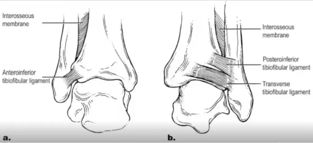 Dr Julien Beldame, chirurgien orthopédiste à l'ICP Paris 