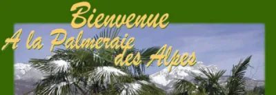 Valorisation du compost de l'eco-digesteur pour cultures de potagers