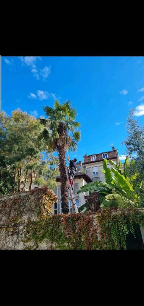 Notre zone d'activité pour ce serviceDevis d'intervention pour l'élagage d'un arbre