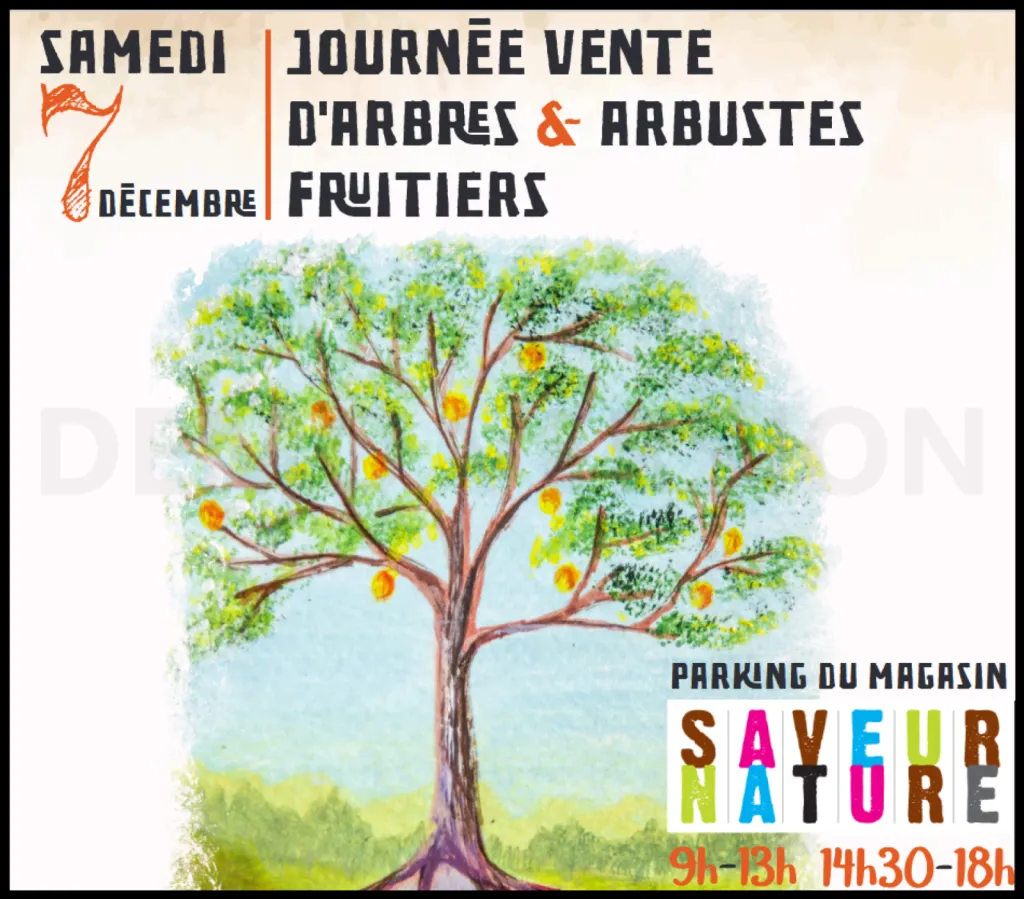Vente d'arbres le 7 decembre