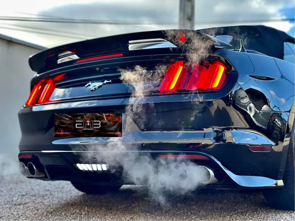 Protection du vernis de la carrosserie à Genas