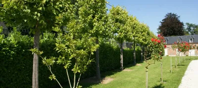 Spécialiste du monde végétal Bolleville Jardin en Seine