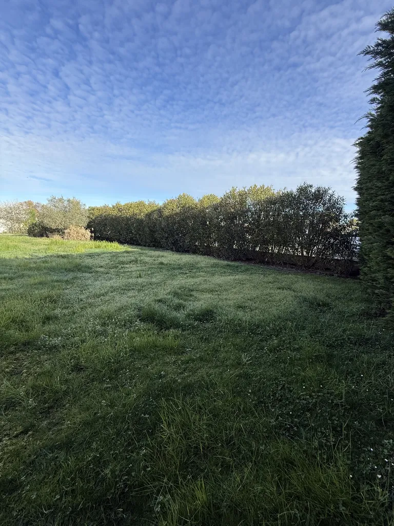 Remise en état complète de jardin à Muret près de Toulouse : entretien espaces verts, taille de haies, tonte, désherbage et élagage professionnel