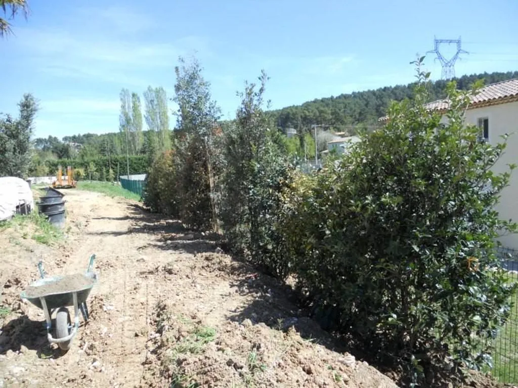 Plantation d'une Haie mixte par le paysagiste de Fuveau.