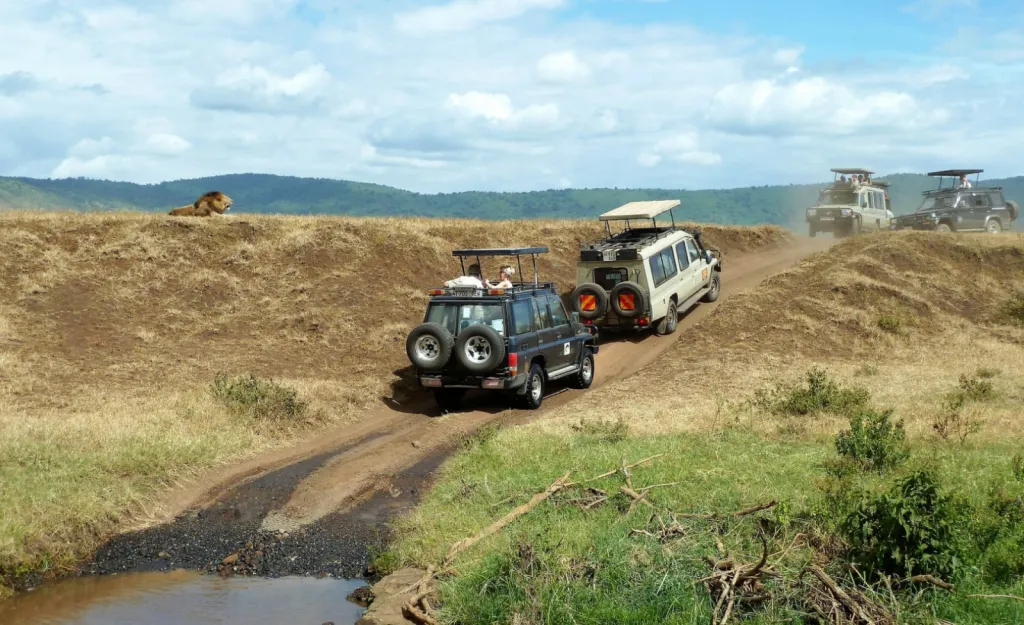 Destination de voyage tendance en Afrique : découvrir La Tanzanie