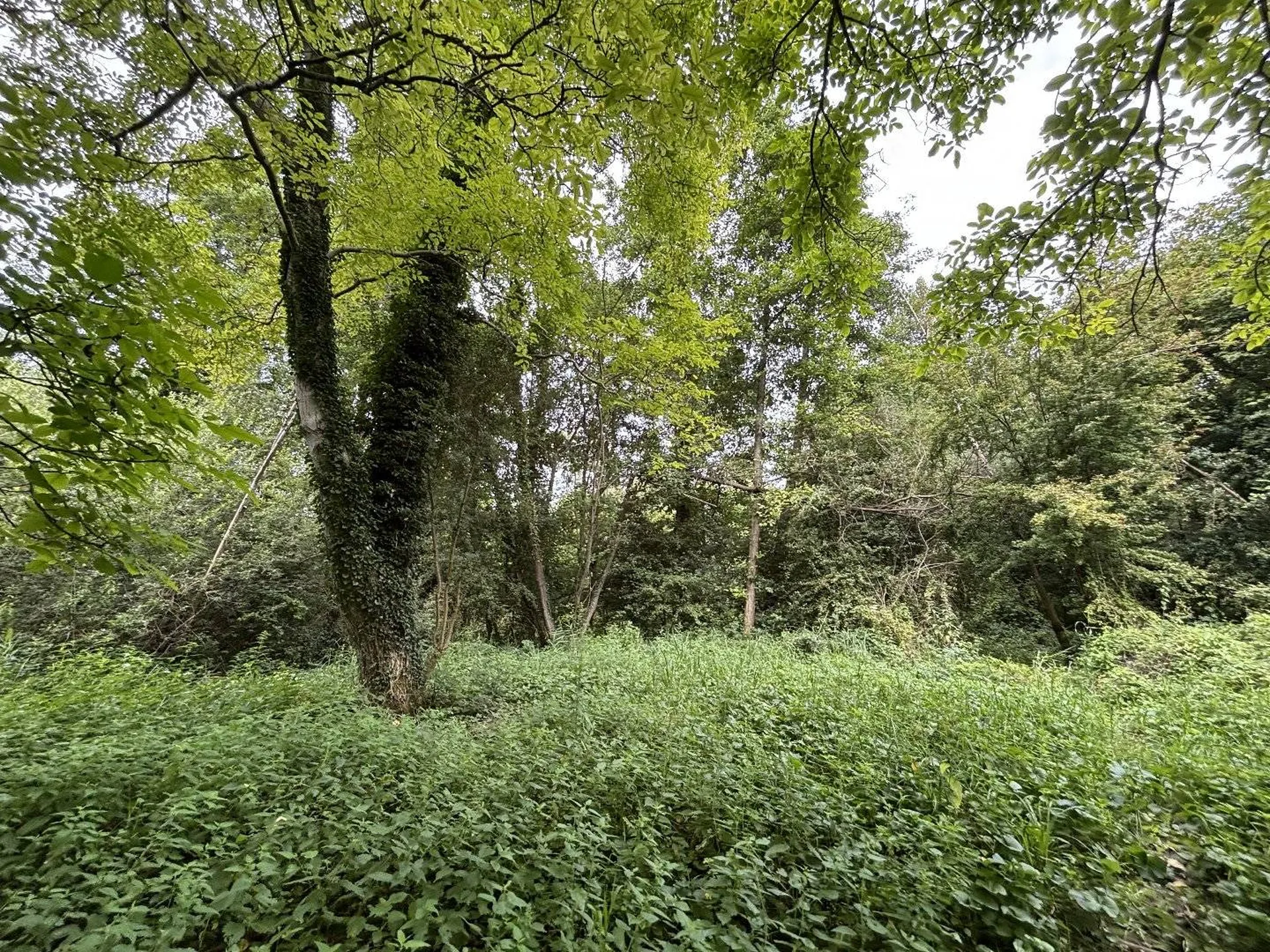 Achat terrain proche Bresle