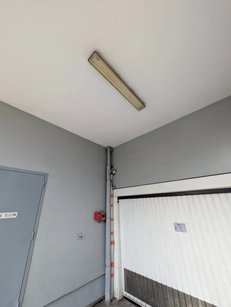 Intervention de destruction de nid de frelons asiatiques suspendu sous plafond au-dessus d'une porte de garage collective à Lyon 8e 69008.