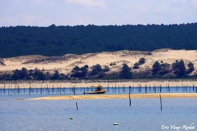 Croisière privées entre Dune du Pilat et parcs à huîtres
