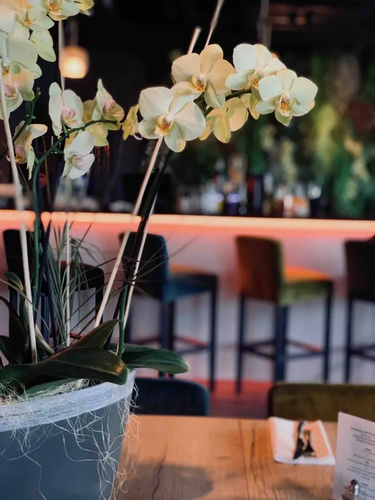 Repas en amoureux dans un restaurant à Saint-Priest