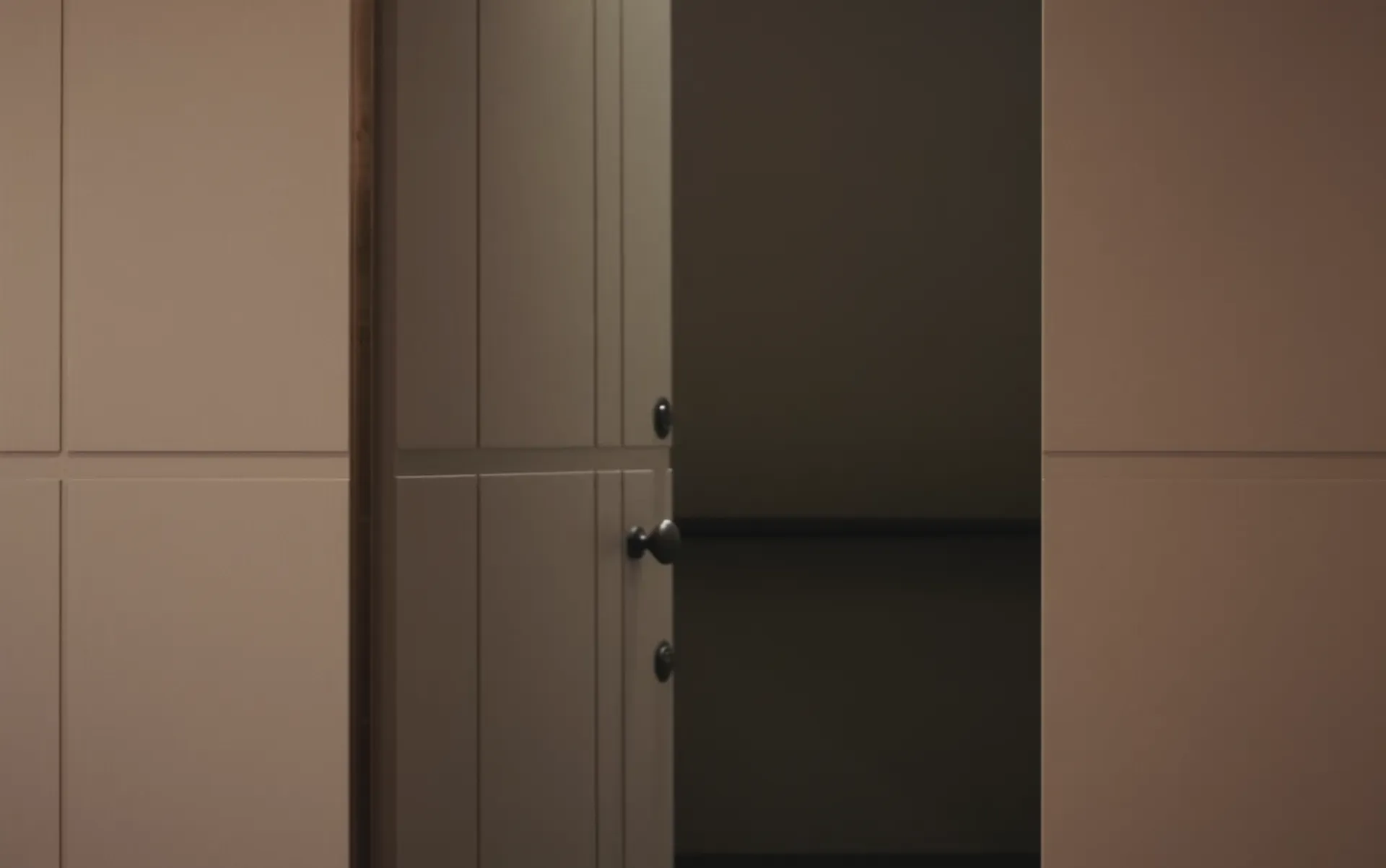 Porte d'entrée de maison silvelox bois sur mesure en corse du sud