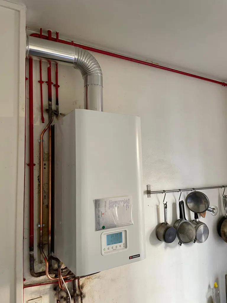 Remplacement d’une chaudière Frisquet lyon 3 eme proche du point du jour lyon 5ème - désembouage du circuit chauffage nettoyage des radiateurs 