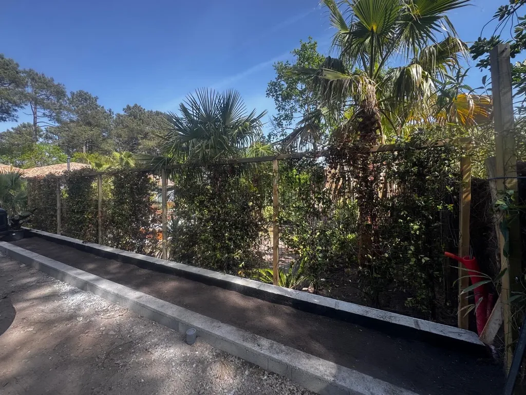 Création d’un brise vue végétal à Biscarrosse dans les Landes