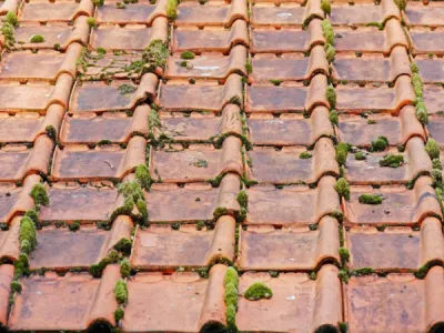 Les avantages du nettoyage de ma toiture réalisé par un professionnel à Périgeux en Dordogne 