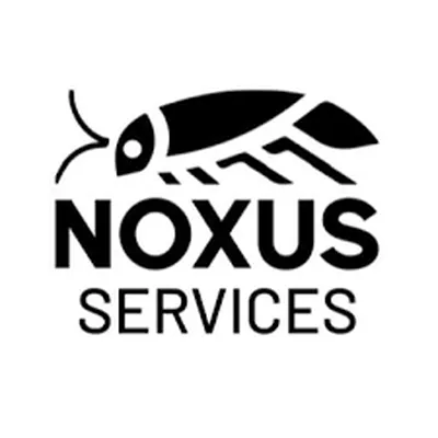 Pourquoi opter pour un contrat annuel avec Noxus services ?