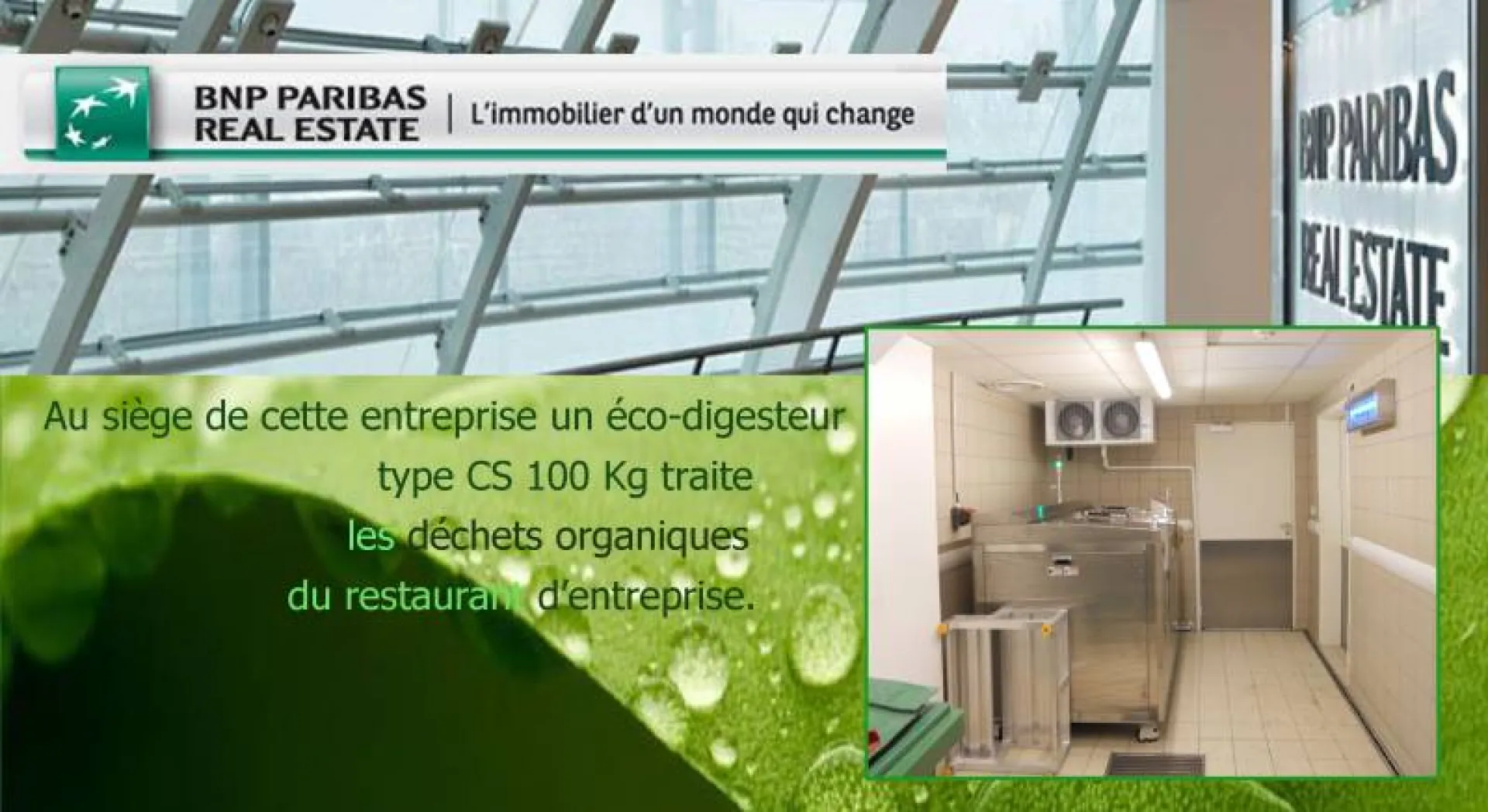 Traitement des déchets alimentaire de viande et de poisson en Ile de France