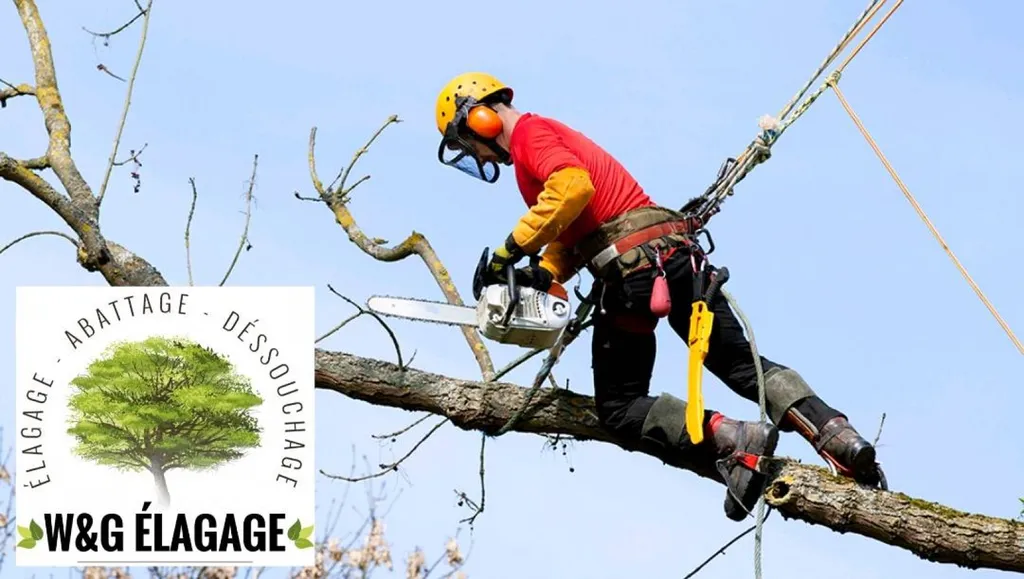 Vous chercher un élagueur professionnel pour l'élagage des arbres à Blanquefort à bon prix ?