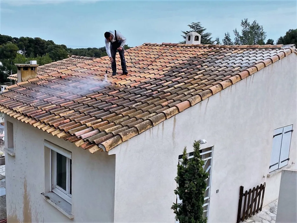 nettoyage de toiture sur carry le rouet en cours